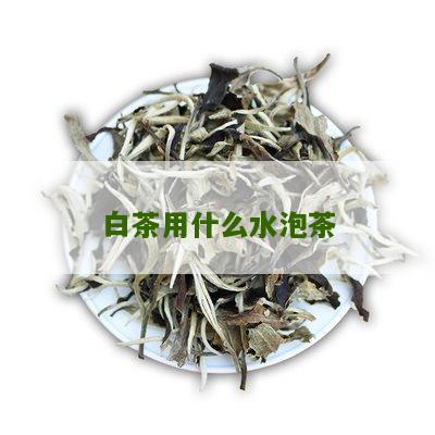 白茶用什么水泡茶