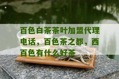 百色白茶茶叶加盟代理电话，百色茶之都，西百色有什么好茶