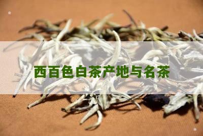 西百色白茶产地与名茶