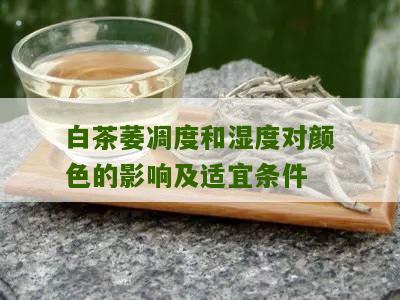 白茶萎凋度和湿度对颜色的影响及适宜条件