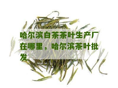 哈尔滨白茶茶叶生产厂在哪里，哈尔滨茶叶批发