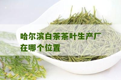 哈尔滨白茶茶叶生产厂在哪个位置