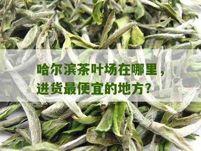 哈尔滨茶叶场在哪里，进货最便宜的地方？