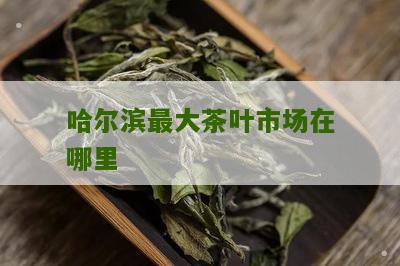 哈尔滨最大茶叶市场在哪里