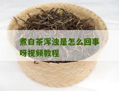 煮白茶浑浊是怎么回事呀视频教程