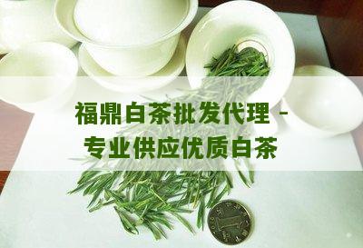 福鼎白茶批发代理 - 专业供应优质白茶