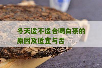 冬天适不适合喝白茶的原因及适宜与否