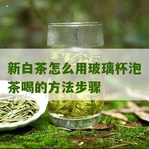 新白茶怎么用玻璃杯泡茶喝的方法步骤