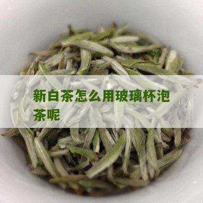 新白茶怎么用玻璃杯泡茶呢