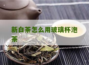 新白茶怎么用玻璃杯泡茶