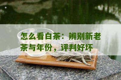 怎么看白茶：辨别新老茶与年份，评判好坏