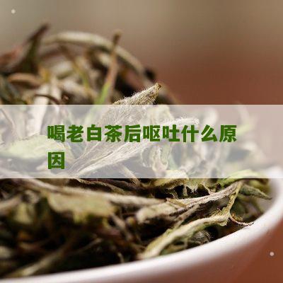 喝老白茶后呕吐什么原因