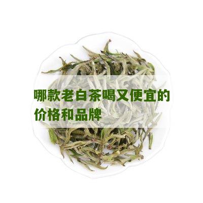 哪款老白茶喝又便宜的价格和品牌