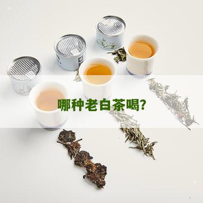 哪种老白茶喝？