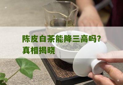 陈皮白茶能降三高吗？真相揭晓