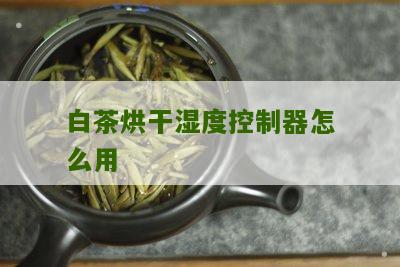 白茶烘干湿度控制器怎么用