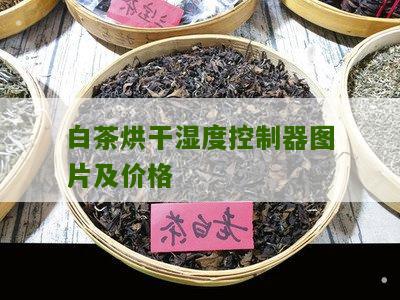 白茶烘干湿度控制器图片及价格