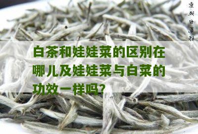 白茶和娃娃菜的区别在哪儿及娃娃菜与白菜的功效一样吗？