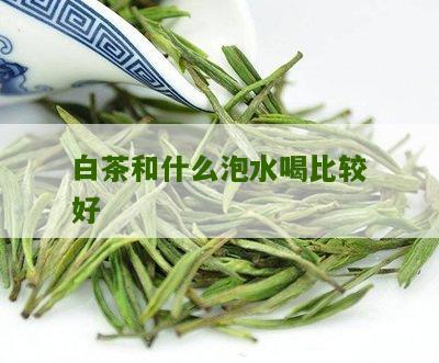 白茶和什么泡水喝比较好