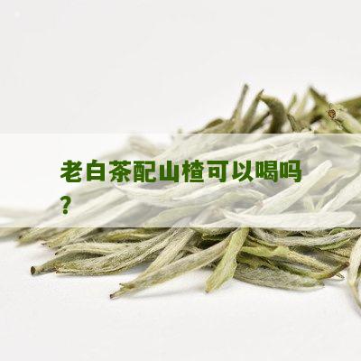 老白茶配山楂可以喝吗？