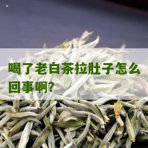 喝了老白茶拉肚子怎么回事啊？