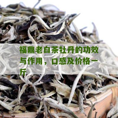 福鼎老白茶牡丹的功效与作用，口感及价格一斤