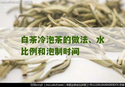 白茶冷泡茶的做法、水比例和泡制时间