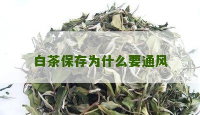 白茶保存为什么要通风