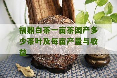 福鼎白茶一亩茶园产多少茶叶及每亩产量与收益