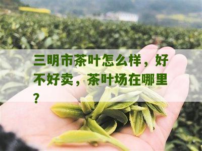 三明市茶叶怎么样，好不好卖，茶叶场在哪里？