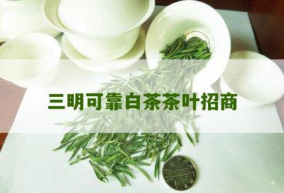 三明可靠白茶茶叶招商