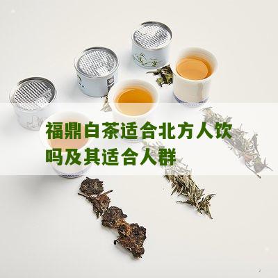 福鼎白茶适合北方人饮吗及其适合人群