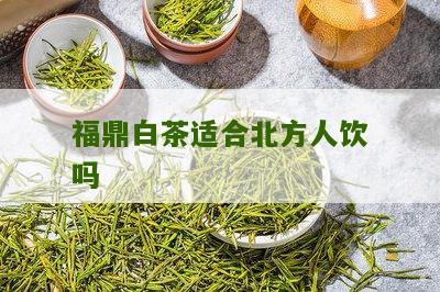 福鼎白茶适合北方人饮吗