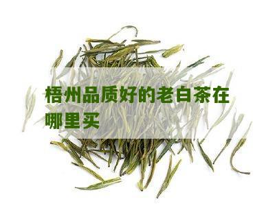 梧州品质好的老白茶在哪里买