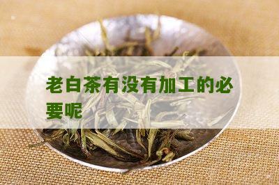 老白茶有没有加工的必要呢