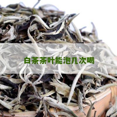 白茶茶叶能泡几次喝