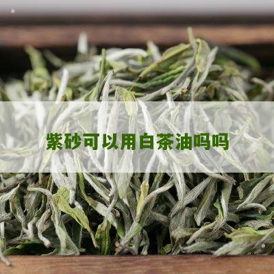 紫砂可以用白茶油吗吗