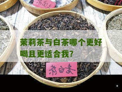 茉莉茶与白茶哪个更好喝且更适合我？