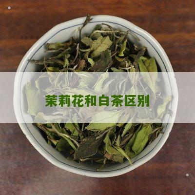 茉莉花和白茶区别