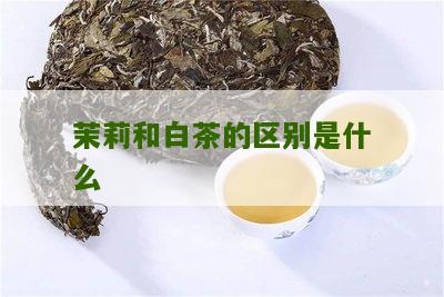 茉莉和白茶的区别是什么