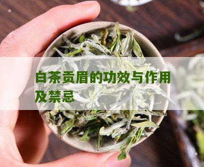 白茶贡眉的功效与作用及禁忌