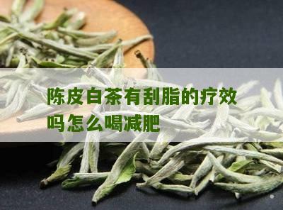 陈皮白茶有刮脂的疗效吗怎么喝减肥