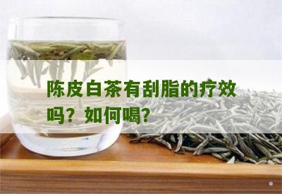 陈皮白茶有刮脂的疗效吗？如何喝？