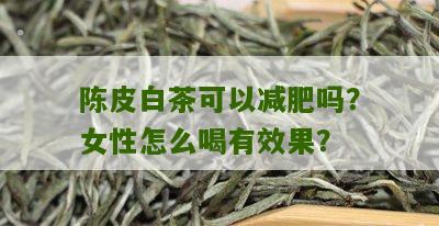 陈皮白茶可以减肥吗？女性怎么喝有效果？