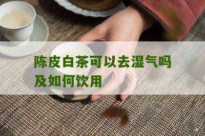 陈皮白茶可以去湿气吗及如何饮用