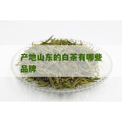 产地山东的白茶有哪些品牌