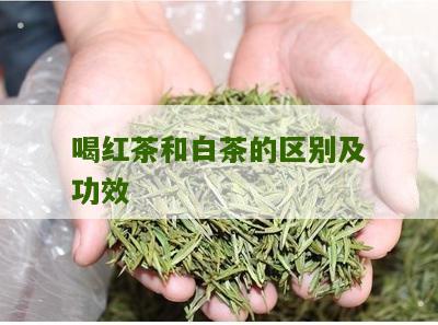 喝红茶和白茶的区别及功效