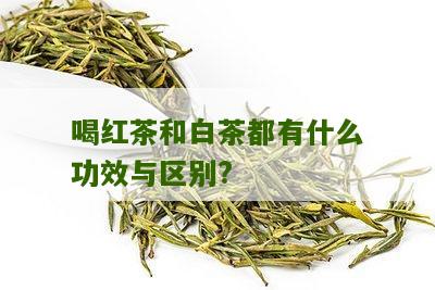 喝红茶和白茶都有什么功效与区别?