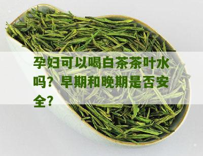 孕妇可以喝白茶茶叶水吗？早期和晚期是否安全？