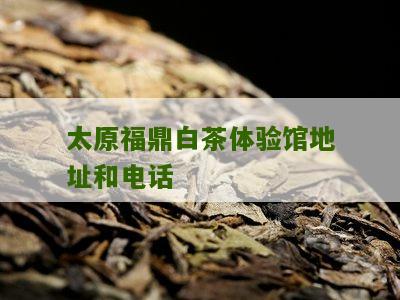 太原福鼎白茶体验馆地址和电话